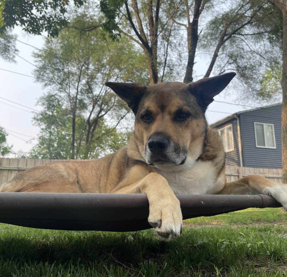 Maverick