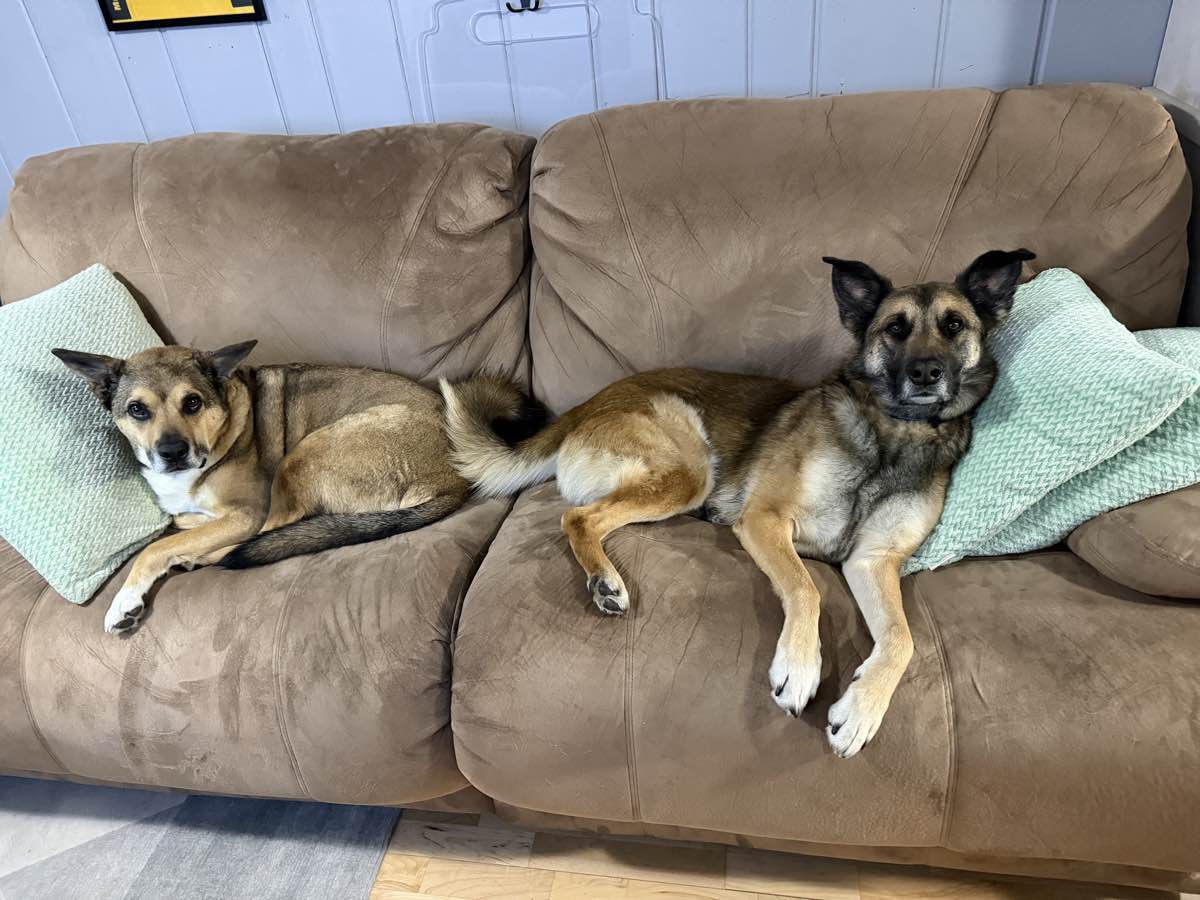 Maverick and Luke together