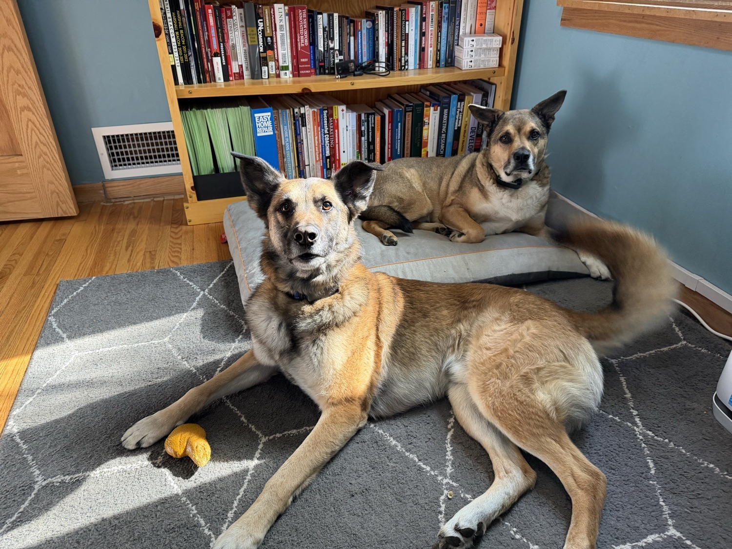 Maverick and Luke