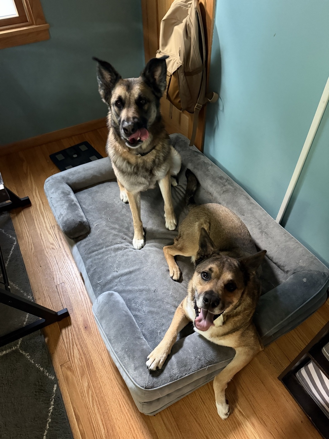 Maverick and Luke