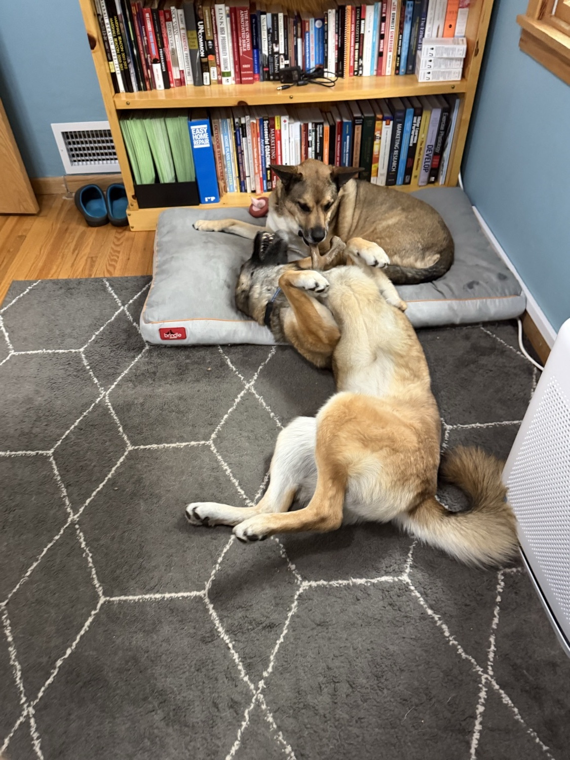 Maverick and Luke