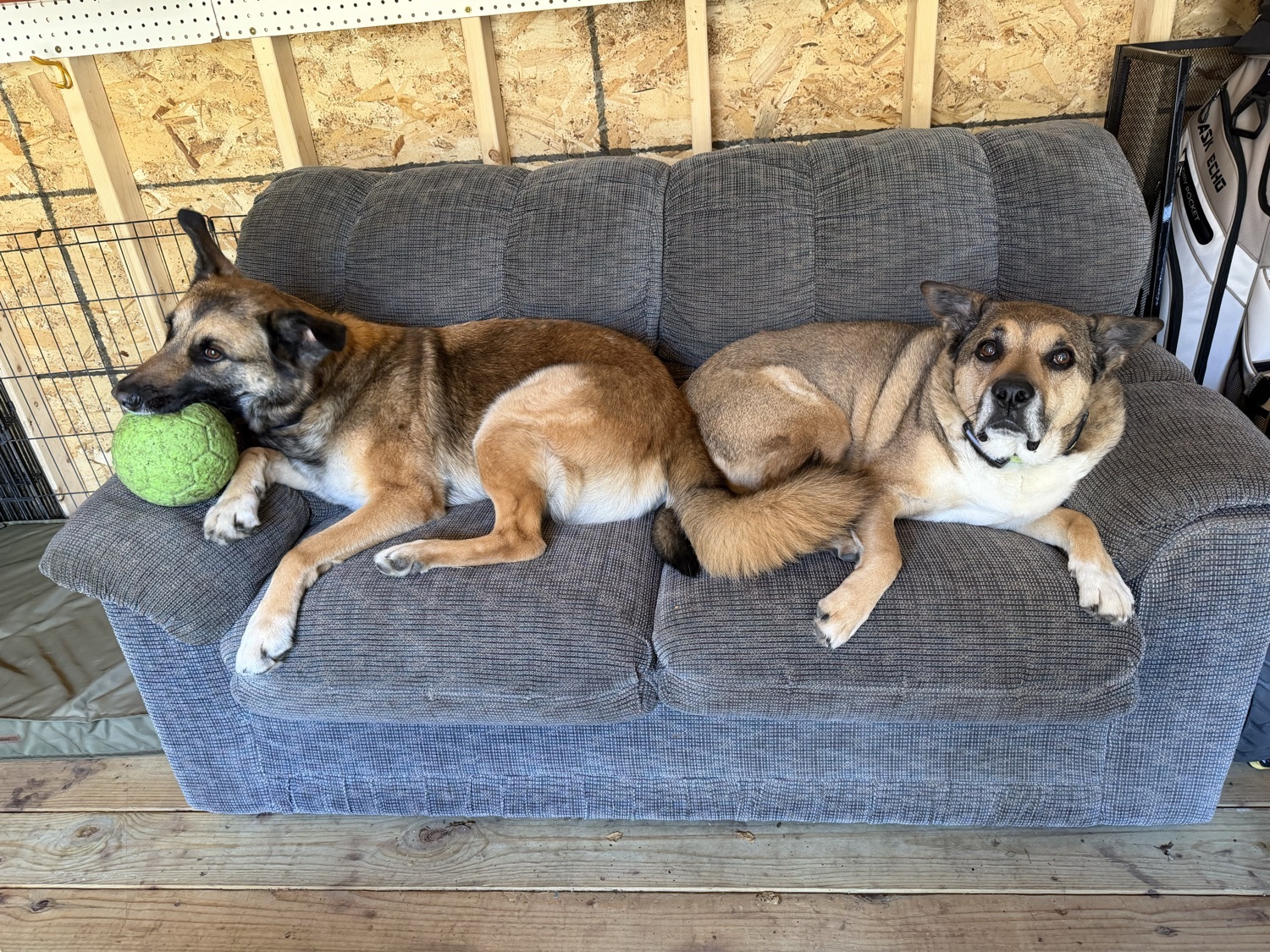 Maverick and Luke